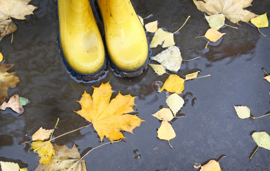 leafes