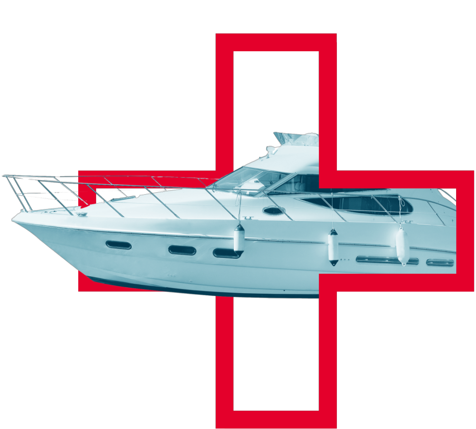 Section Image